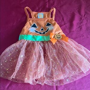 Pumpkin Halloween Costume for Medium Size Dog